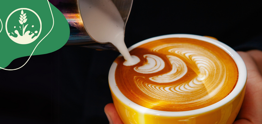 Karo's perfekte Barista Müch