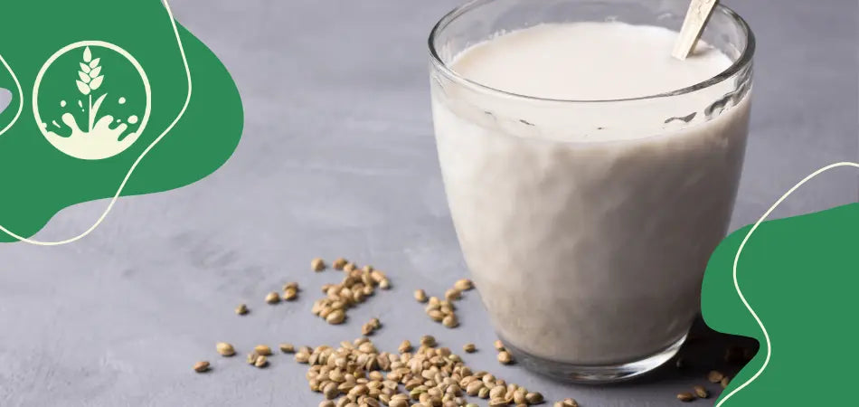 Proteinreiche Hanf-Milch
