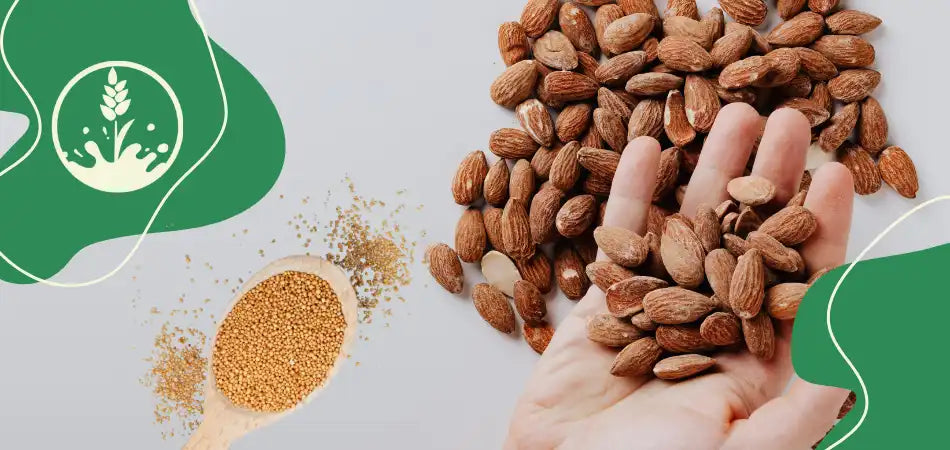 Selbstgemachter Mandelsenf