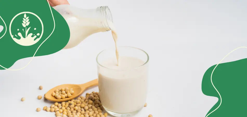 Proteinreiche Soja-Milch